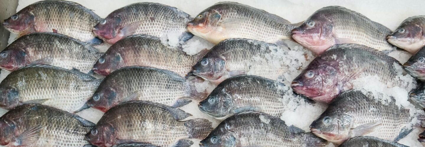 Integrated Fish Farming and Agricultural Enterprise