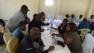 Strengthening Civic Participation and Electoral Inclusion