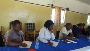 Strengthening Civic Participation and Electoral Inclusion gallery image
