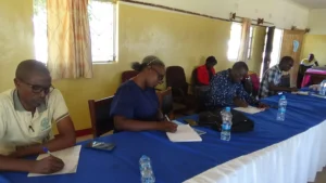Strengthening Civic Participation and Electoral Inclusion gallery image